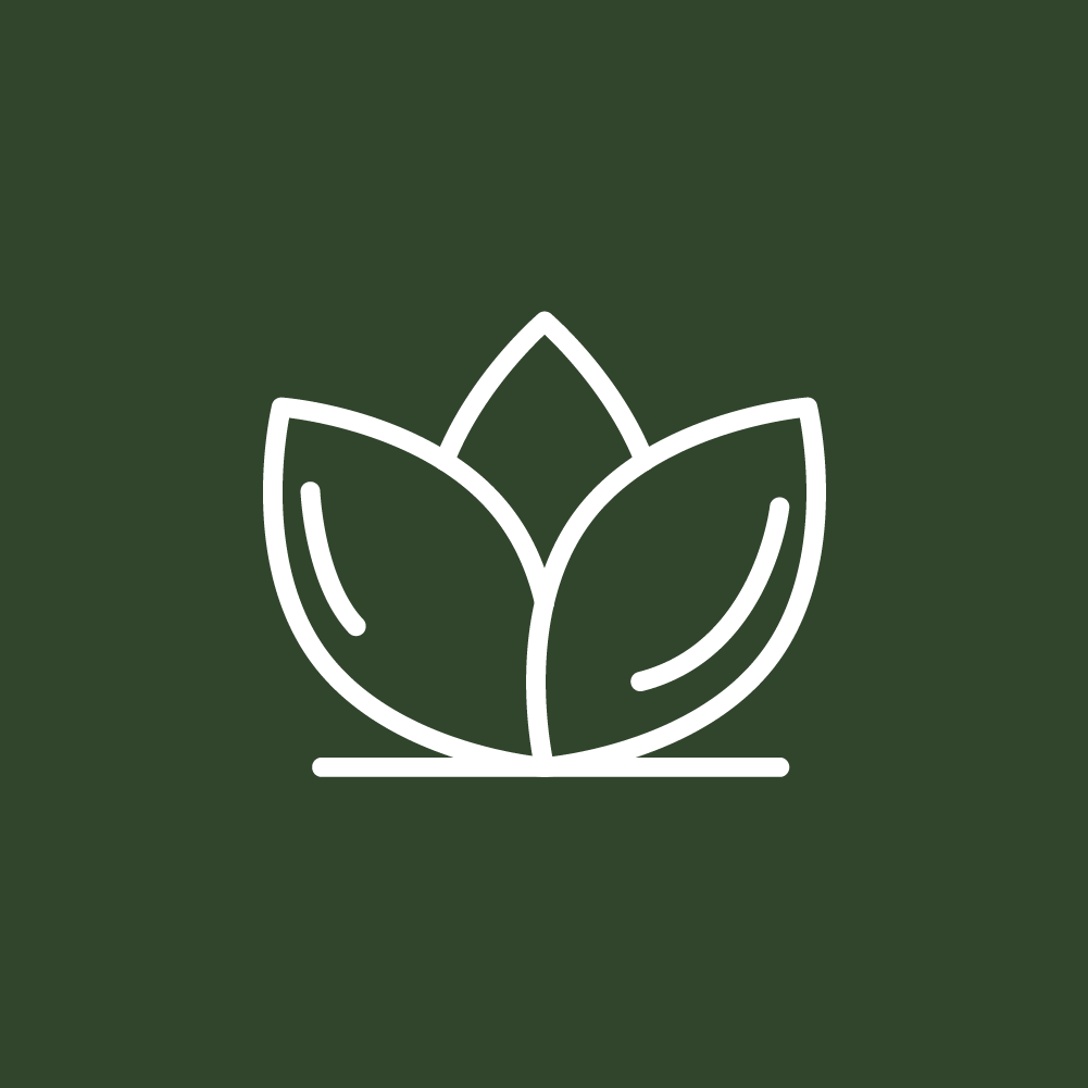 Icono de planta para servicio de Ejercicio Terapéutico